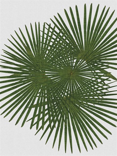 Urban Tropical - Fan - Dana Shek