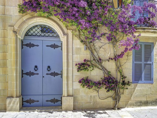 Elaborate Entrance - Assaf Frank