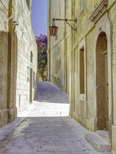 Long And Winding Road - Assaf Frank