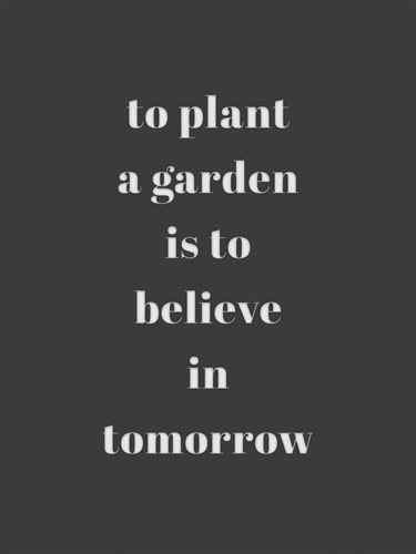 Plant Garden - Joni Whyte
