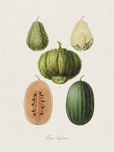 Fruits Legumiera - The Vintage Collection