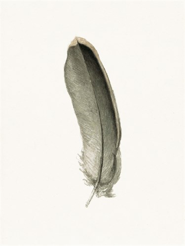 Floaty Feather - Pure - The Vintage Collection