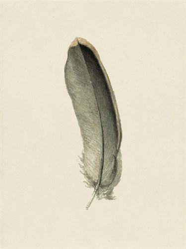 Floaty Feather - The Vintage Collection