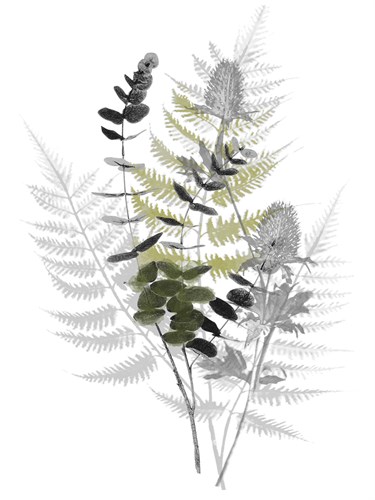 Wild Foliage - Rustic - Collezione Botanica