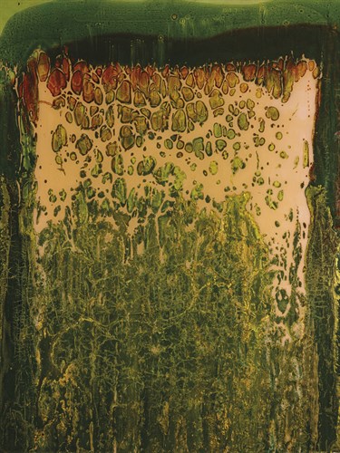 Organic Cavity - Austin Allen James