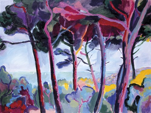 Bold Skies - Gerry Baptist