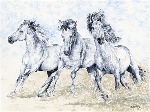 Arabian Folly - Richard Young