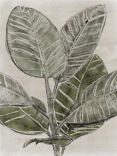 Plant Life - Grow - Belle Poesia