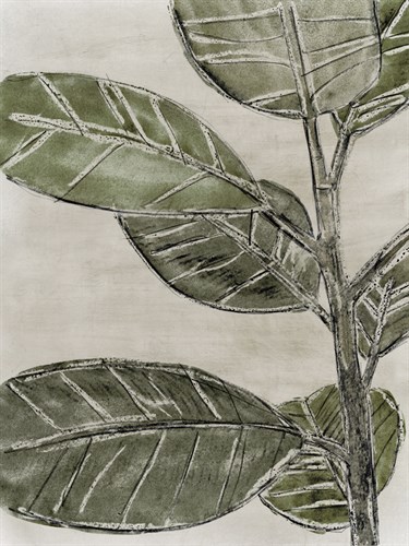 Plant Life - Flourish - Belle Poesia