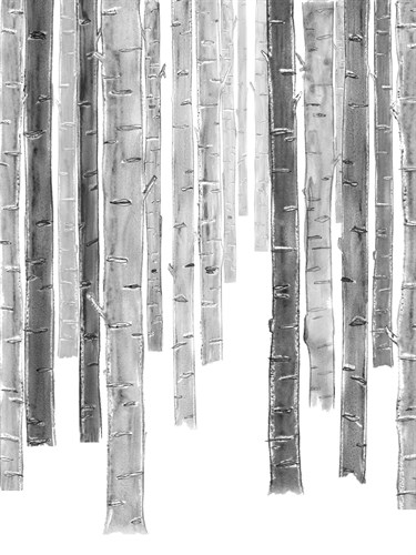 Forest Quietude - Still - Belle Poesia