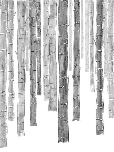 Forest Quietude - Close - Belle Poesia