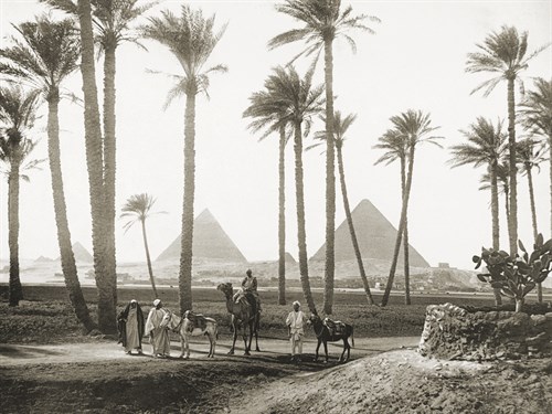 Pyramid Palms - Historic Collection