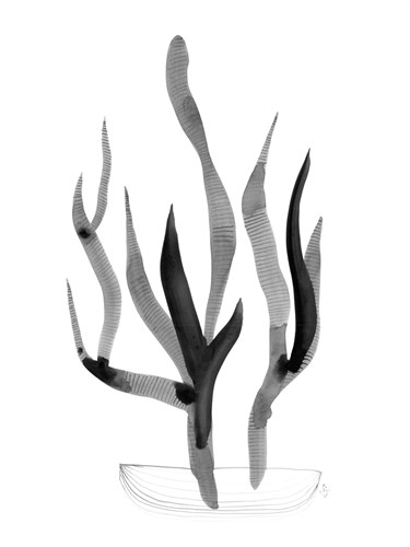 Urban Garden - Cactus - Kim Colthurst Johnson