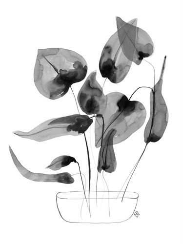 Urban Garden - Jungle - Kim Colthurst Johnson