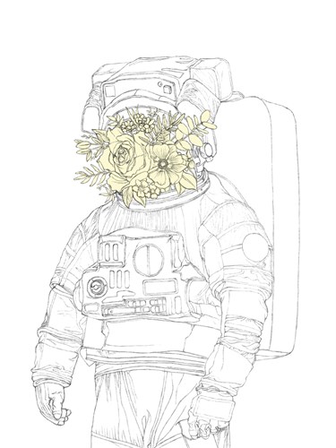 Linear Space - Bloom - Lucy Francis