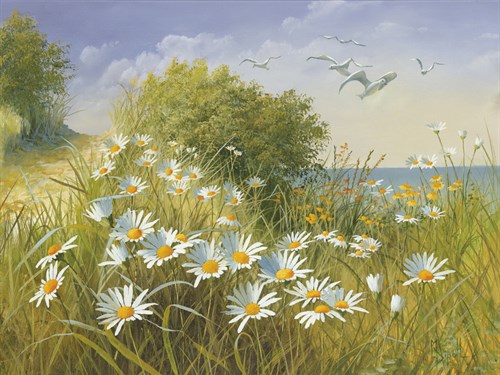 Where Seagulls Fly - Mary Dipnall