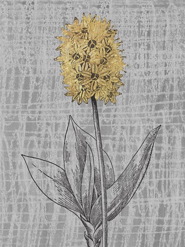Luxe Garden - Elegance - Belle Poesia