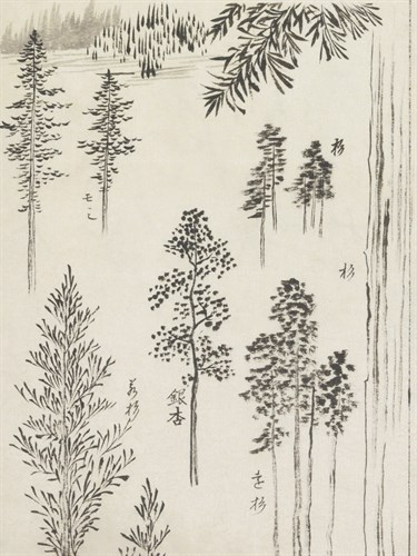 Kirifuri Highland - Historic Collection