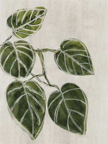 Plant Life - Thrive - Belle Poesia