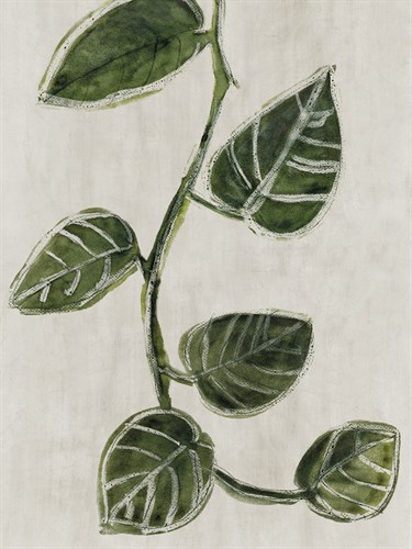 Plant Life - Prosper - Belle Poesia