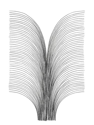 Linear Acoustic - Surge - Maja Gunnarsdottir