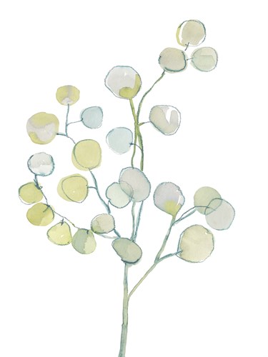 Foliage Spray - Bold - Sandra Jacobs