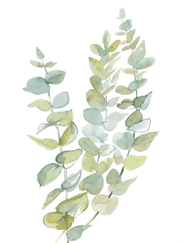 Foliage Spray - Climb - Sandra Jacobs