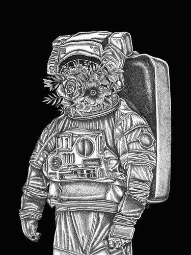 Space Bloom - Lucy Francis