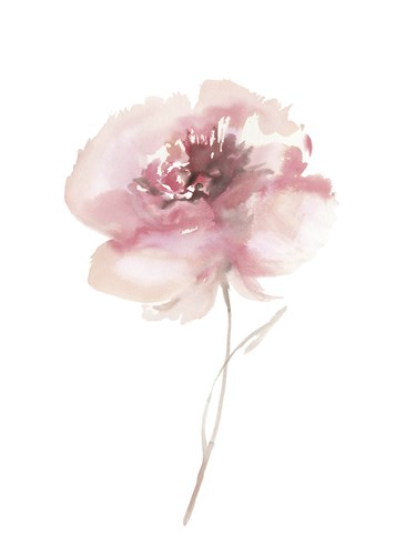 Aquarelle Blooms - Chic - Sandra Jacobs