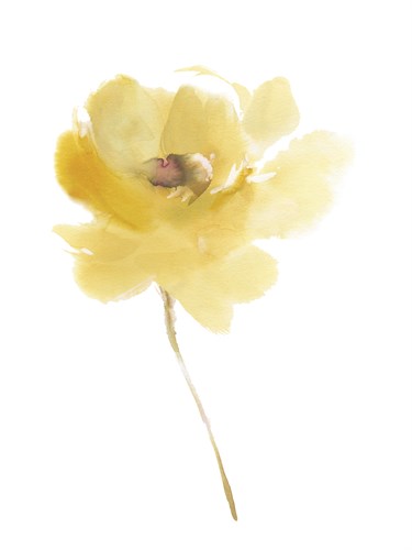 Aquarelle Blooms - Cheery - Sandra Jacobs