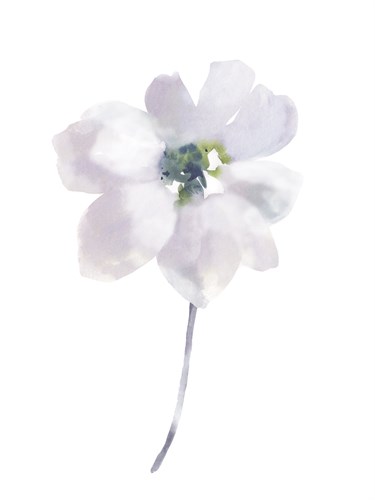 Aquarelle Blooms - Soft - Sandra Jacobs