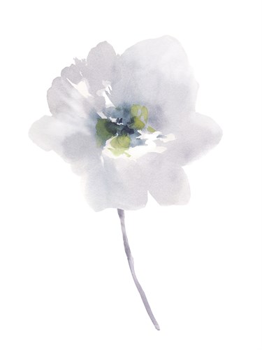 Aquarelle Blooms - Pastel - Sandra Jacobs