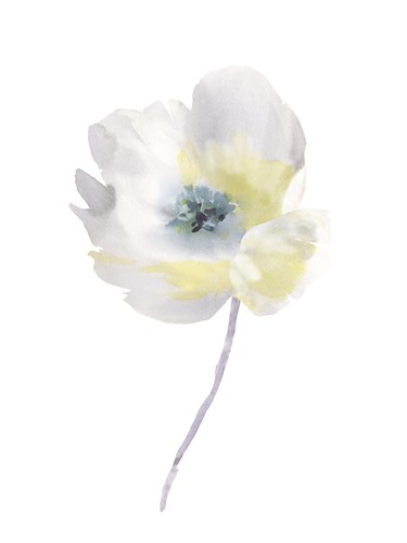 Aquarelle Blooms - Delicate - Sandra Jacobs