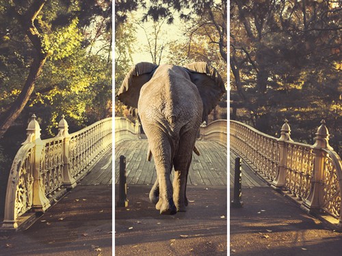 Afternoon Stroll - Trio - Irene Suchocki