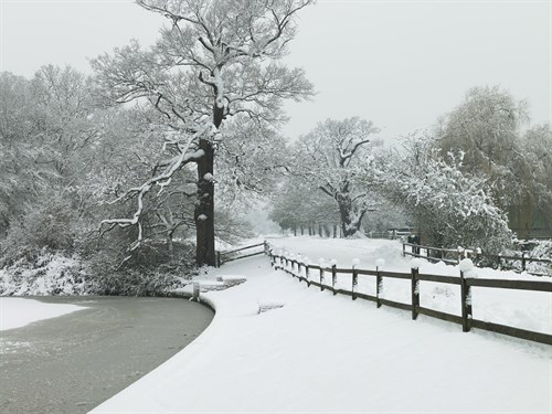 Winter's Path - Assaf Frank