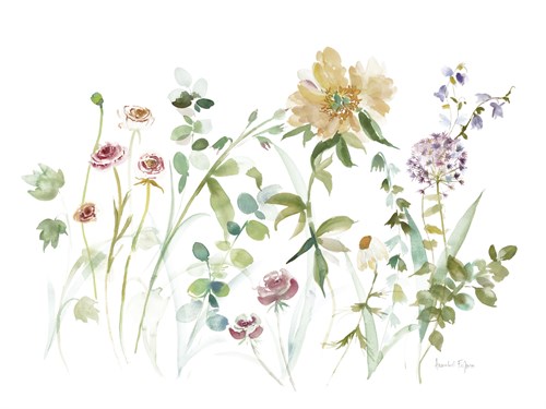 Posy Wild - Bright - Annabel Fairfax