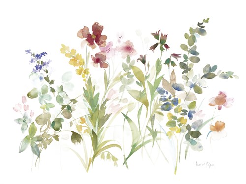 Posy Wild - Vivid - Annabel Fairfax