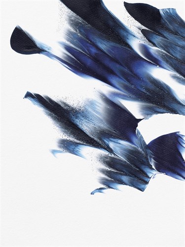 Tidal Escape - Crest - Maja Gunnarsdottir