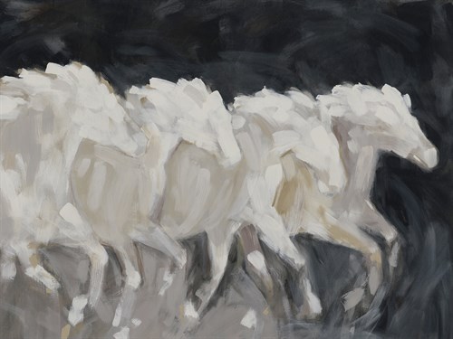 Wild Symphony - Rush - Kristine Hegre
