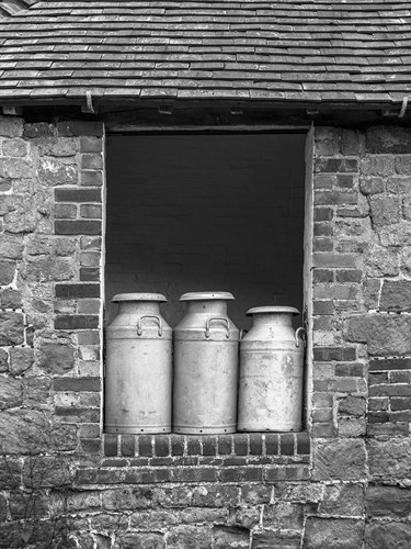 Cottage Churns - Assaf Frank
