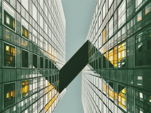 Urban Harmony - Ash Camas