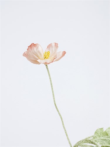 Single Flourish - Climb - Sarah Hart Morgan