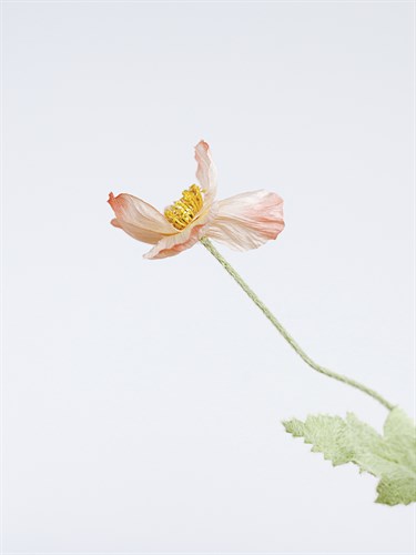 Single Flourish - Soar - Sarah Hart Morgan