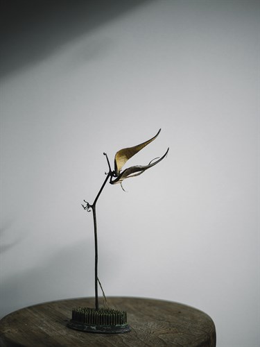 Home Still - Corner - Sarah Hart Morgan