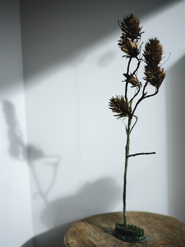 Home Still - Study - Sarah Hart Morgan