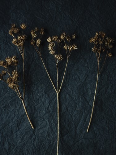Rustic Nature - Gather - Sarah Hart Morgan