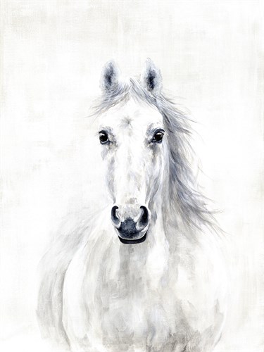 Equine Portrait - Janie Howe