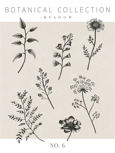 Botanical Collection - Meadow - Lucy Francis