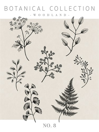 Botanical Collection - Woodland - Lucy Francis