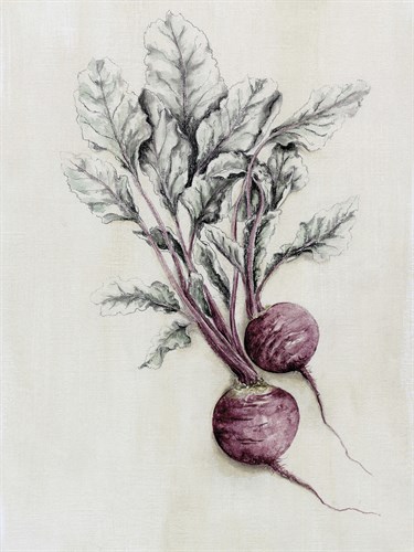 Rustic Table - Beetroot - Janie Howe